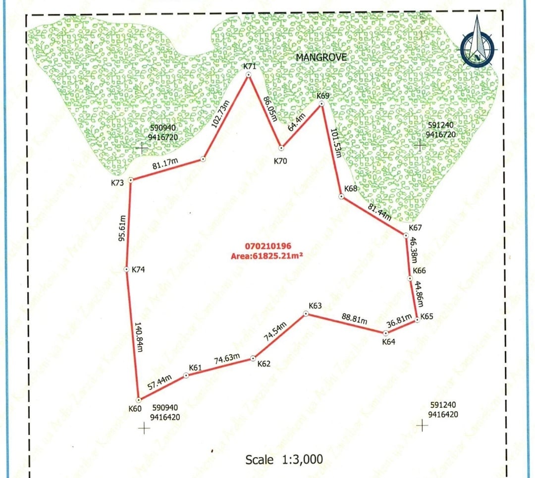 6 Hectares of Land for Sale in Pujini, Pemba, Zanzibar