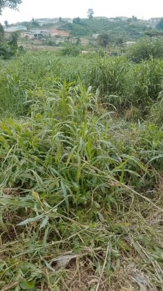 Terrains 400 m2 à Anyama- nouvelle zone