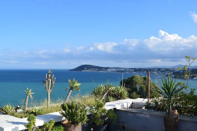 Villa de prestige à vendre à Gammarth avec vue mer