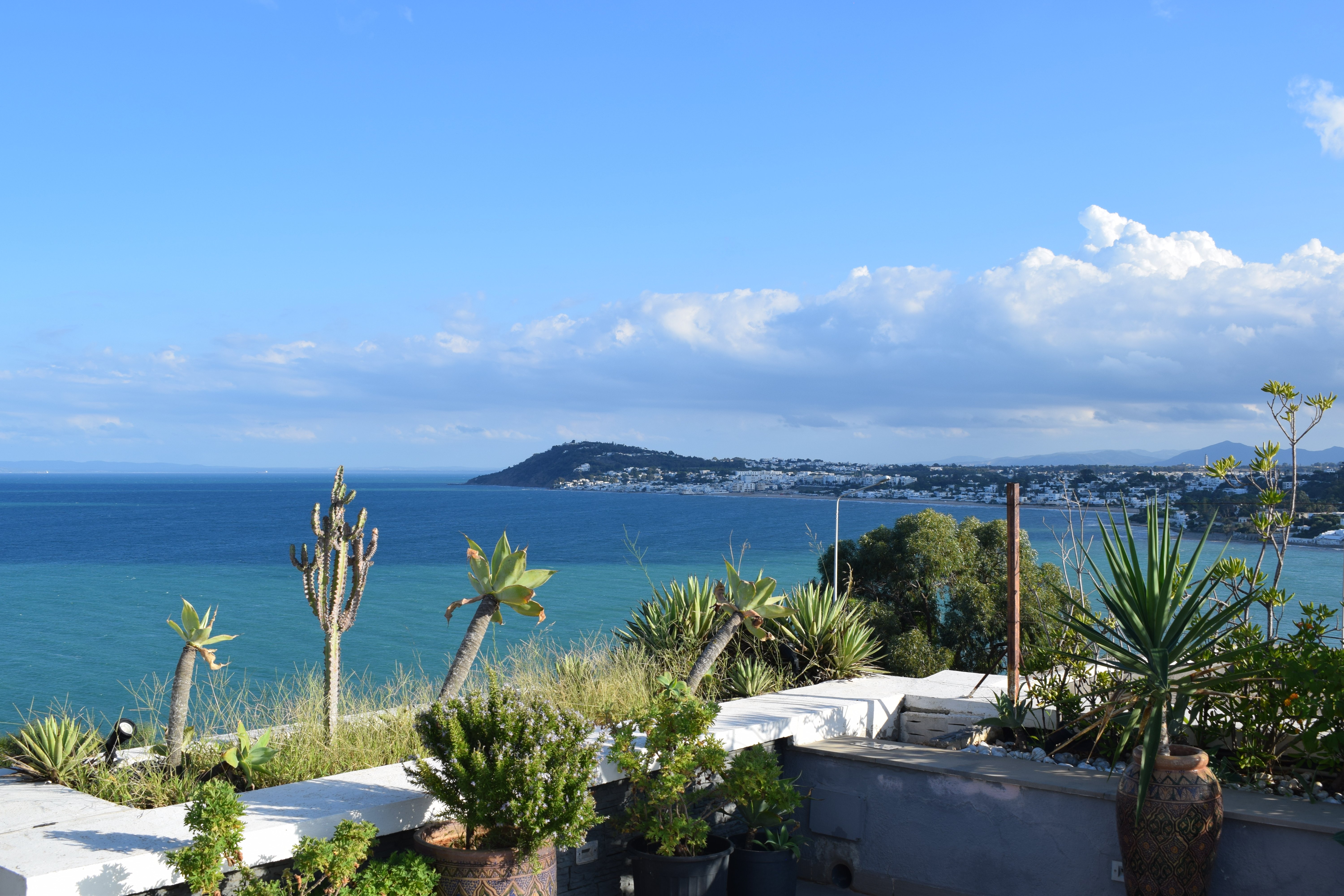 Villa de prestige à vendre à Gammarth avec vue mer