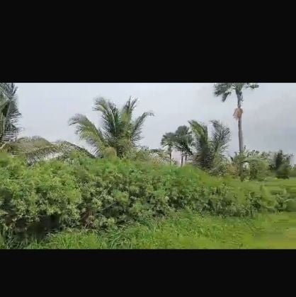 Champ de 1 hectare à vendre à Ndianda Sénégal