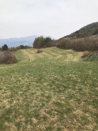 Organic agricultural land – Folgaria (TN)