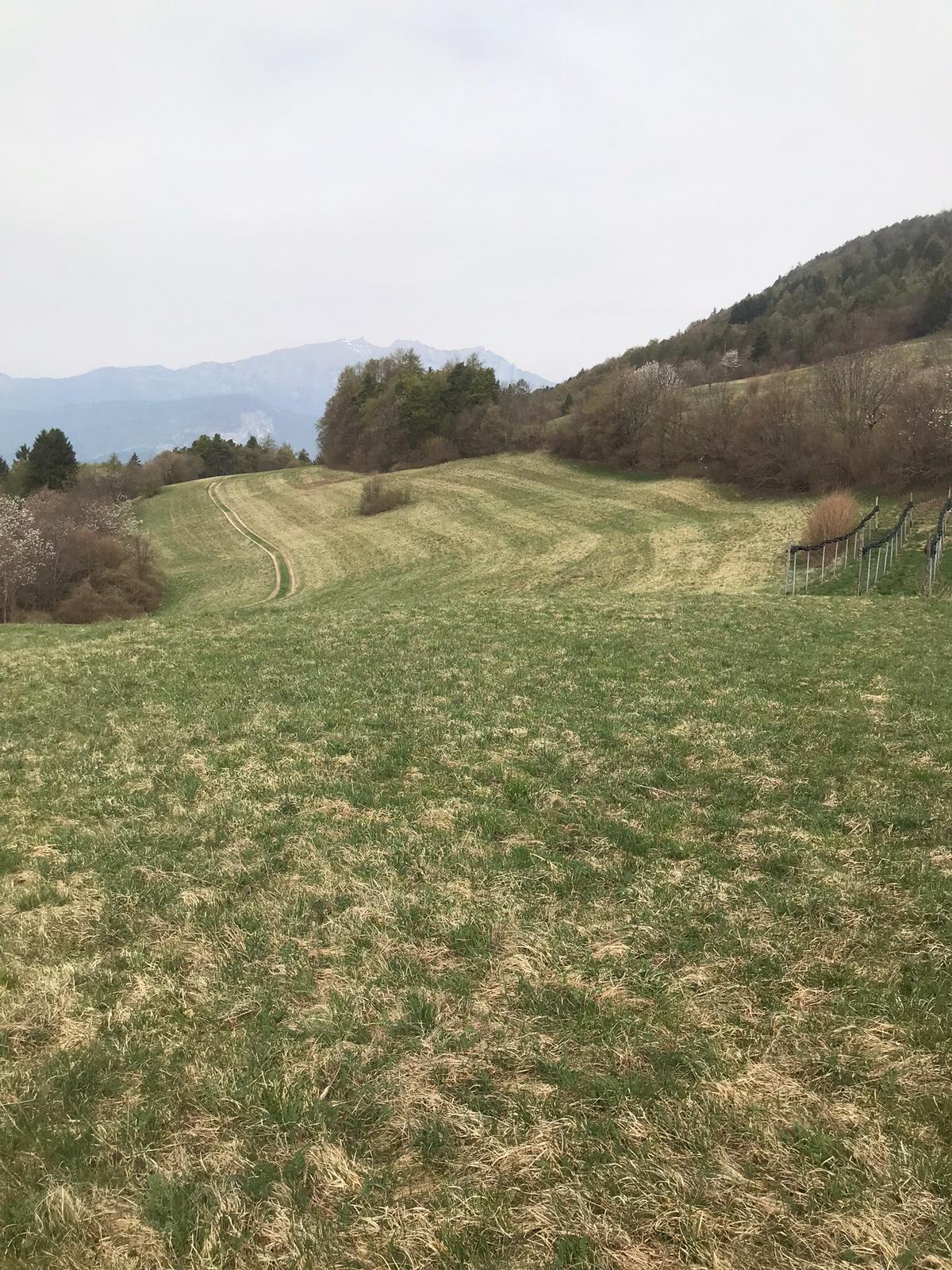 Organic agricultural land – Folgaria (TN)