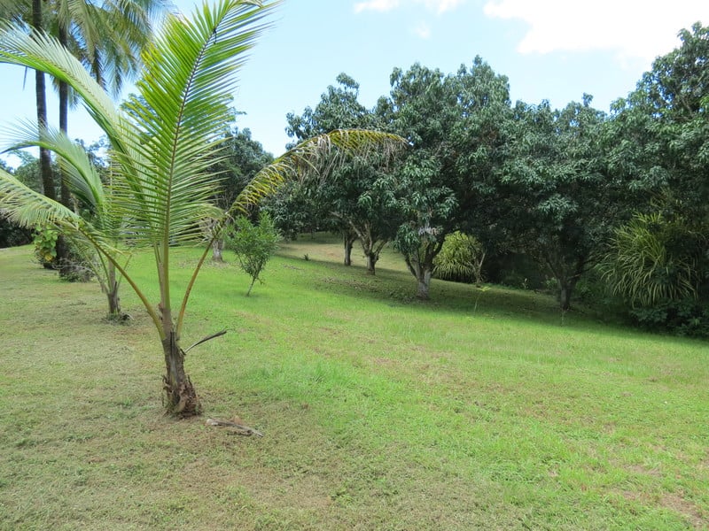 RARE RIVERFRONT PROPERTY — 5.5 ACRES BETWEEN SANTA TERESA & MONTEZUMA