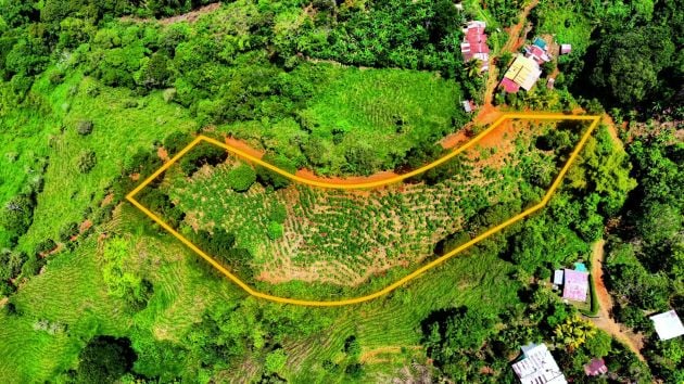 FOR SALE: 1.83-ACRE LOT WITH PANORAMIC MOUNTAIN VIEWS IN PLATANARES, PEREZ ...