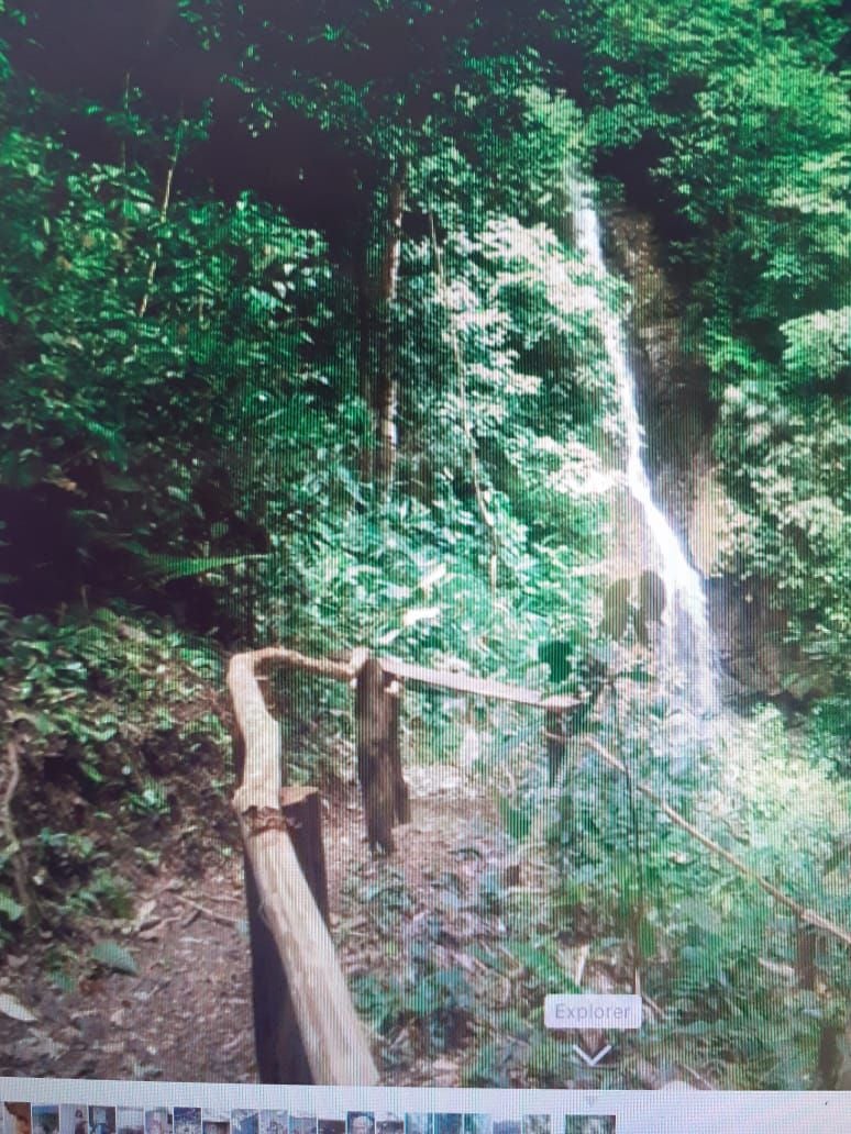 Finca de 55 hect a vendre