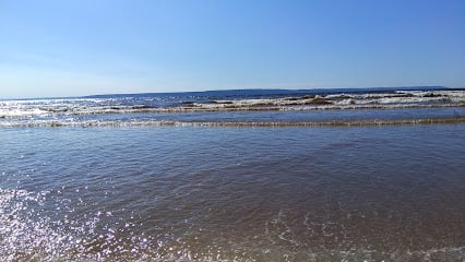Moving to Russia? 3,000 m² of Land with a Registered House in an Established Village near the Volga River Beach