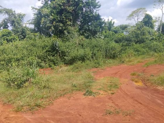 Terreno titulado en venta en Douala Dibombari