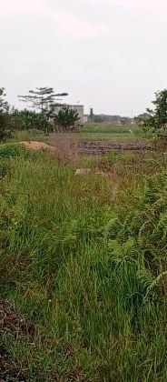 Terreno en venta en Bassam - Modest