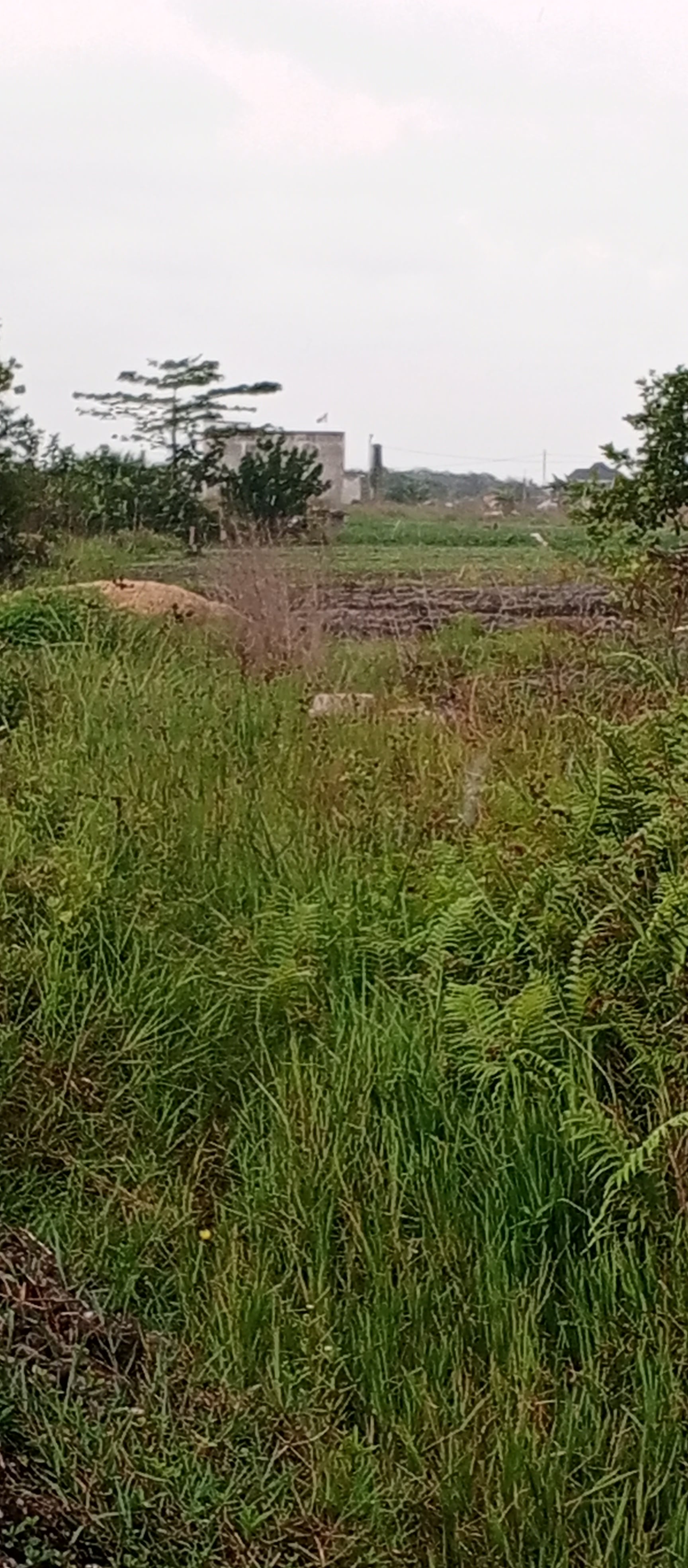 Land for sale in Bassam - Modest 