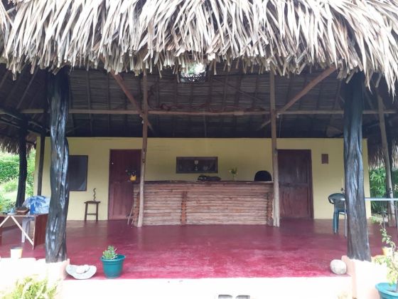 Finca de 55 hectares a vendre