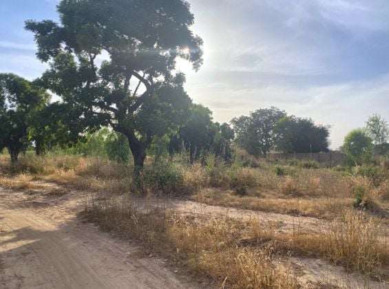À VENDRE : TERRAIN DE 8 000 M² À PROXIMITÉ DU ...