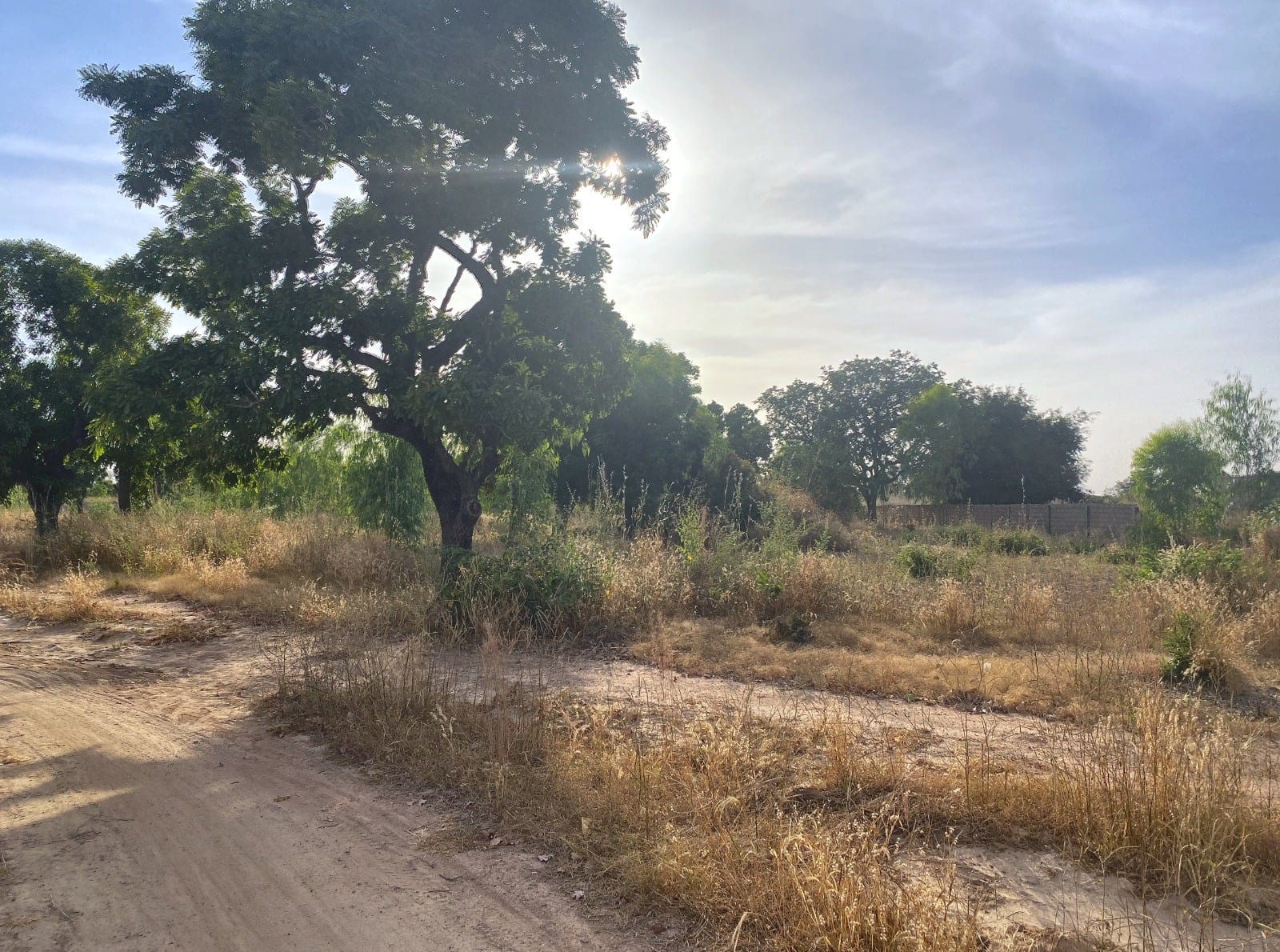 À VENDRE : TERRAIN DE 8 000 M² À PROXIMITÉ DU PÉAGE DE KOUBRI 
