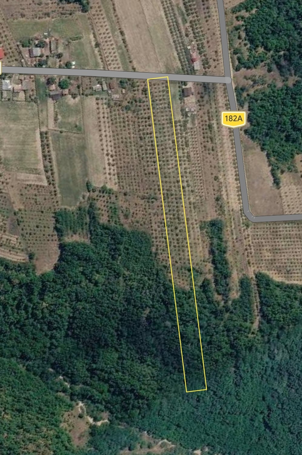 9,177 SQM WITH DIRECT ROAD ACCESS | 1,767 SQM WITHIN THE BUILT-UP AREA + MATURE STANLEY PLUM ORCHARD | CERETU, DĂNICEI, VÂLCEA COUNTY, ROMANIA