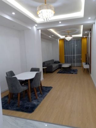 Luxury 2 bedroom furnished apartment around Bole Olympia 