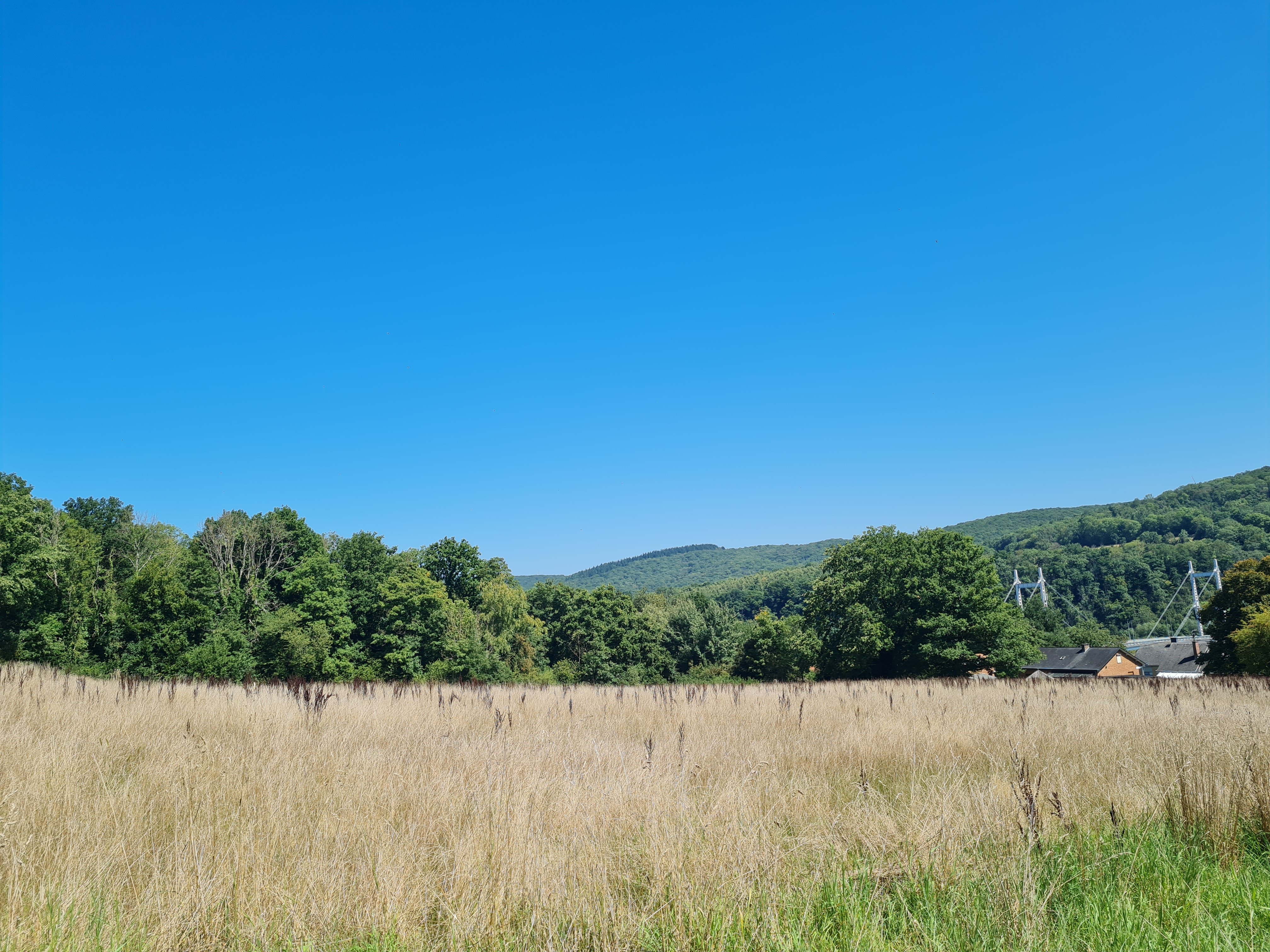 Belgique 5544 Agimont : belles parcelles de terrain, +- 55 ares, situation au calme.