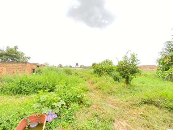 À VENDRE : TERRAIN CLÔTURÉ DE 5 000 M² À ...