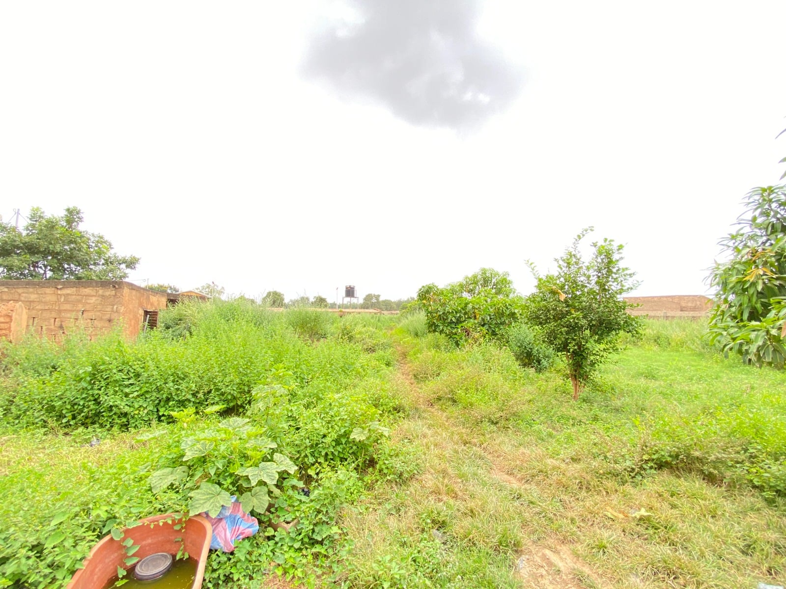 À VENDRE : TERRAIN CLÔTURÉ DE 5 000 M² À BASSINKO – BISSIGHIN 