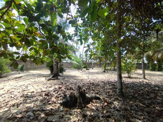 Land for sale in Mondoukou, 500m from the beach