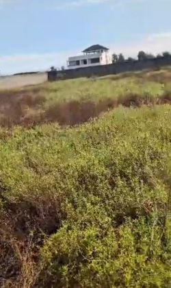 Bassam Mockeyville, terreno di 4800 m2 con ACD (titolo di ...