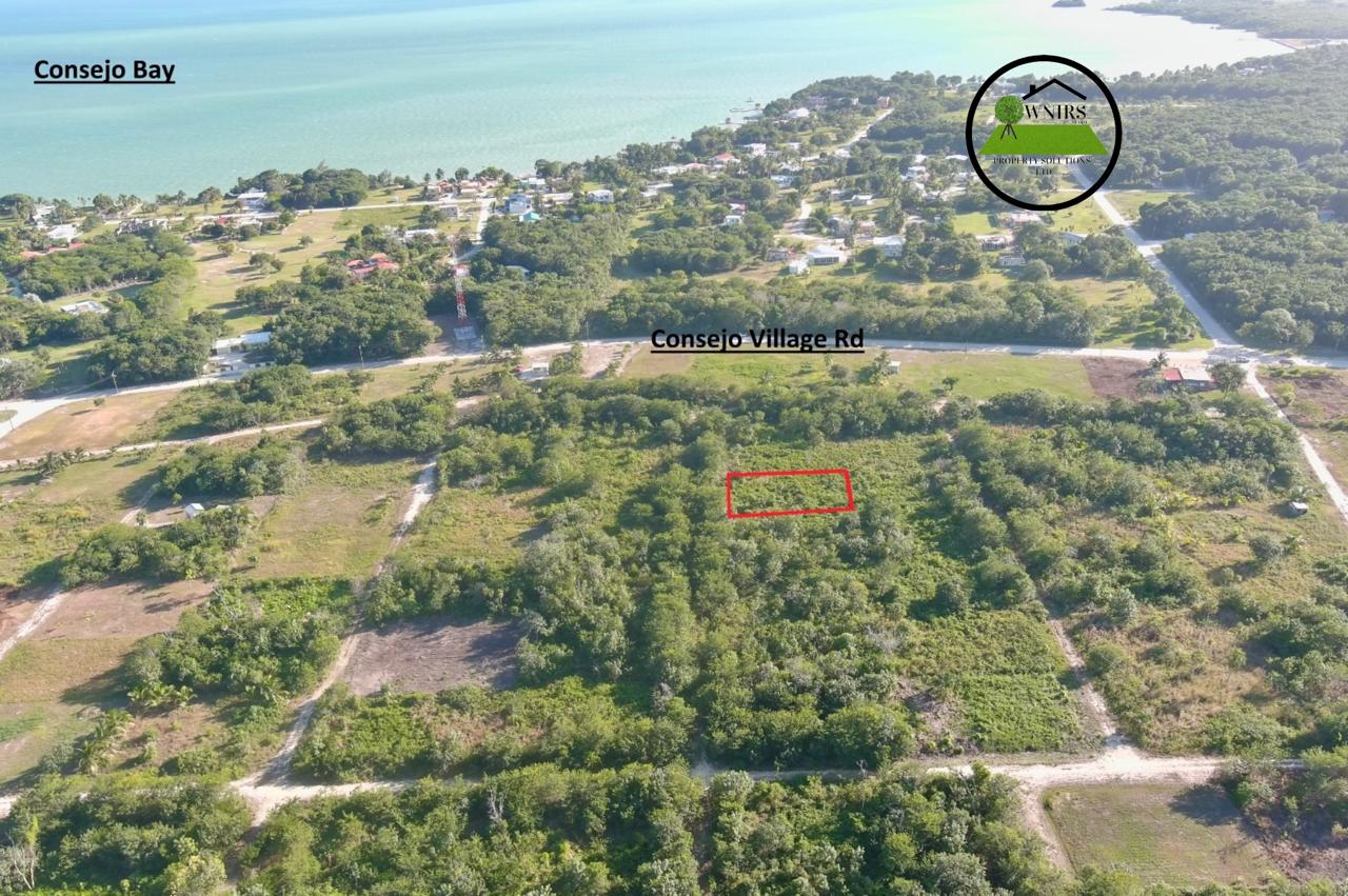 Land for Sale In Consejo Village, Corozal District, Belize C.A.