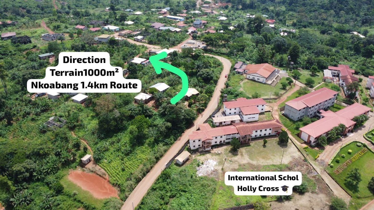 Terrain Titré de 1000m² à vendre à Nkoabang