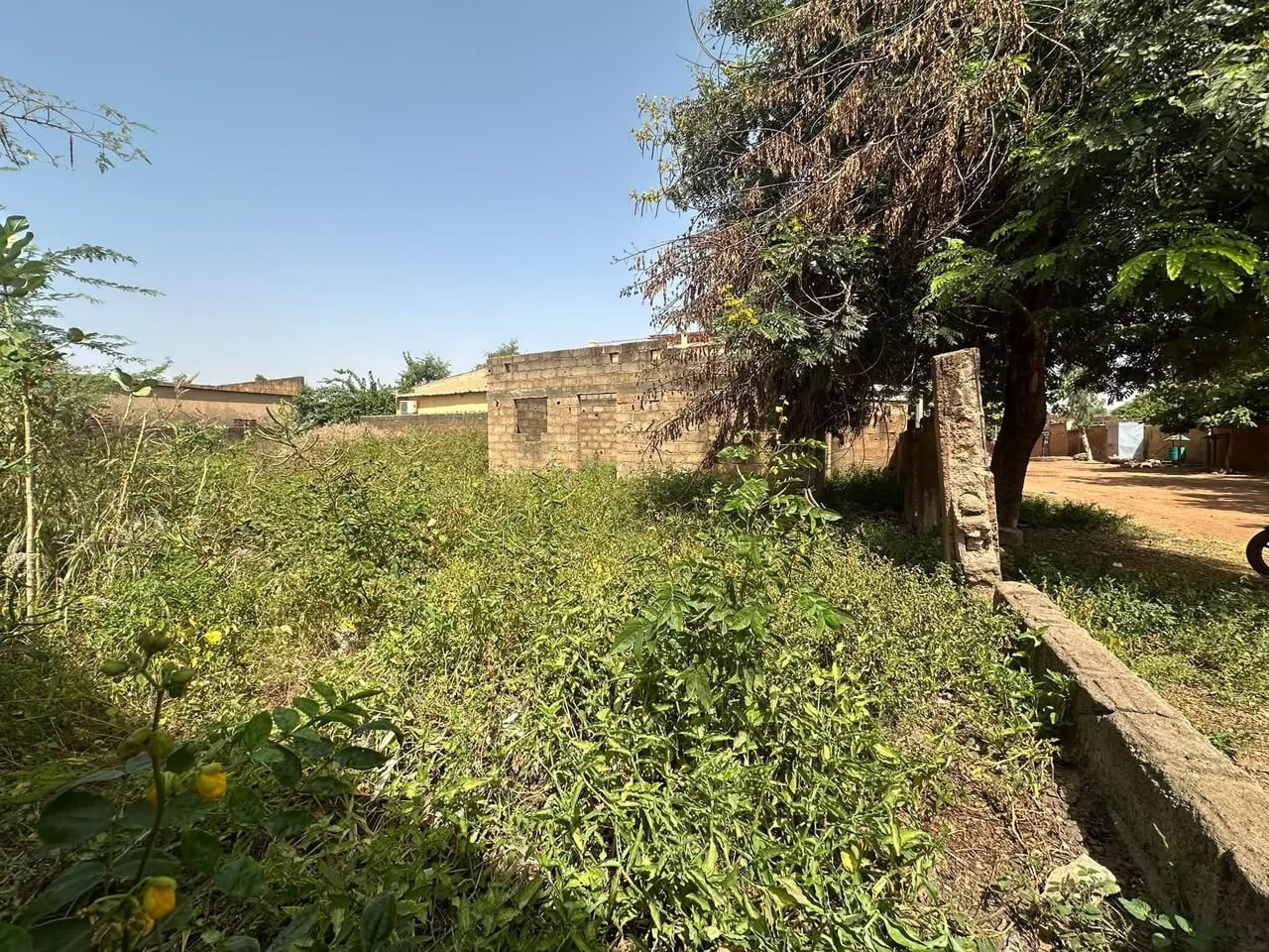 OPPORTUNITÉ IMMOBILIÈRE À DASSASGHO : UNE PARCELLE DE 338 m²