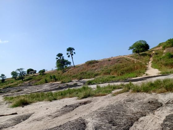 Terrain de 4004 m² à 50 m de la route vers Mboro-Darou Khoudoss
