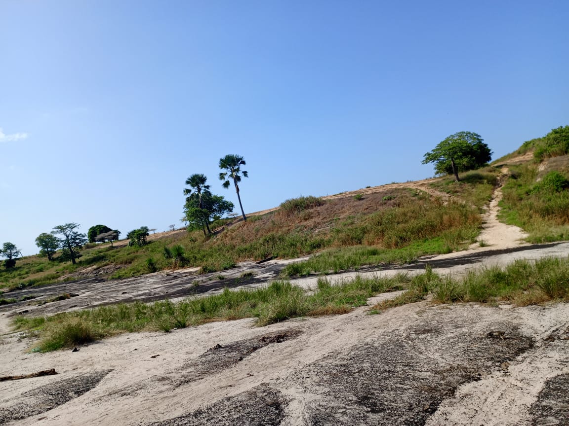 Terrain de 4004 m² à 50 m de la route vers Mboro-Darou Khoudoss