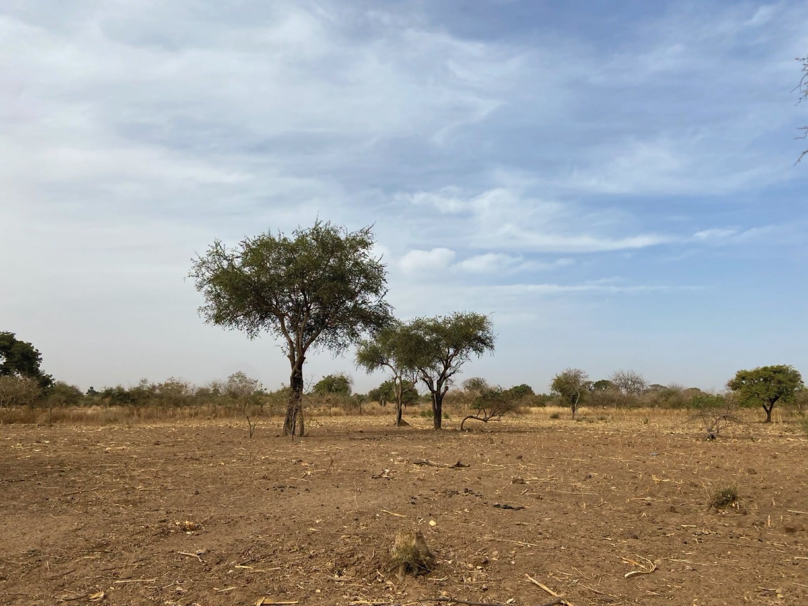 TERRAIN DE 15 000 m² ENTIÈREMENT CLÔTURÉ EN VENTE À LOUMBILA