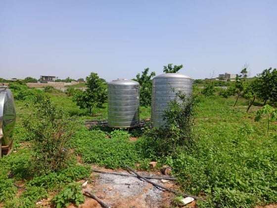 Bail de 1 hectare à 200 m de la route, axe Diamniadio–Yenne