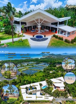 Owner sale: 5 pool villas, 18 bedrooms, 5,804 m2 Chanote land, Thalang, ...