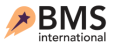 BMS INTERNATIONAL