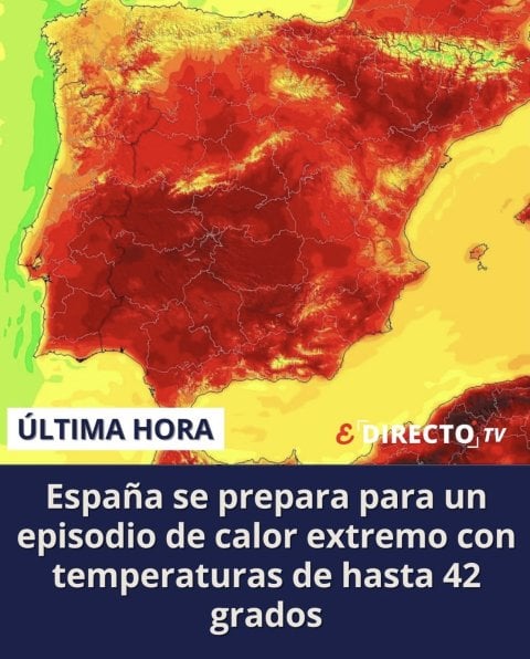 1781711478_3652101_1060522_1.jpeg