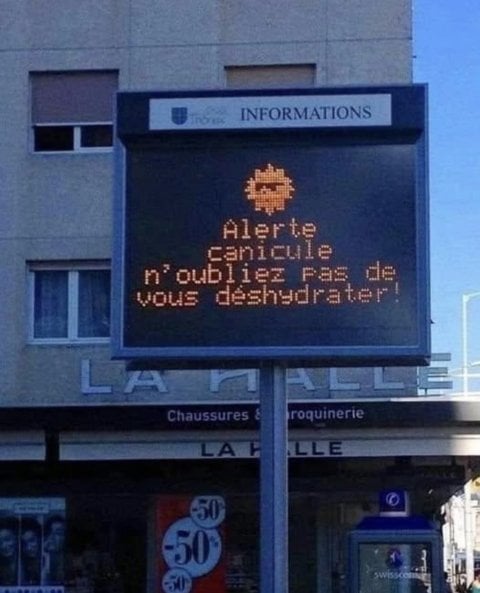 1781955312_3652101_501451_1.jpeg