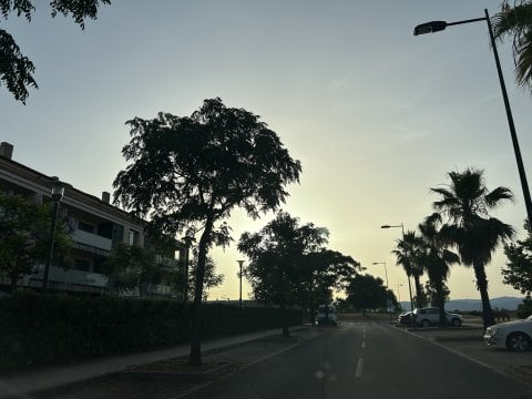 1782068788_3652101_1060522_1.jpeg