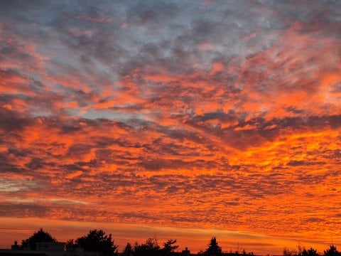 1790527509_28600_810592_1.jpg